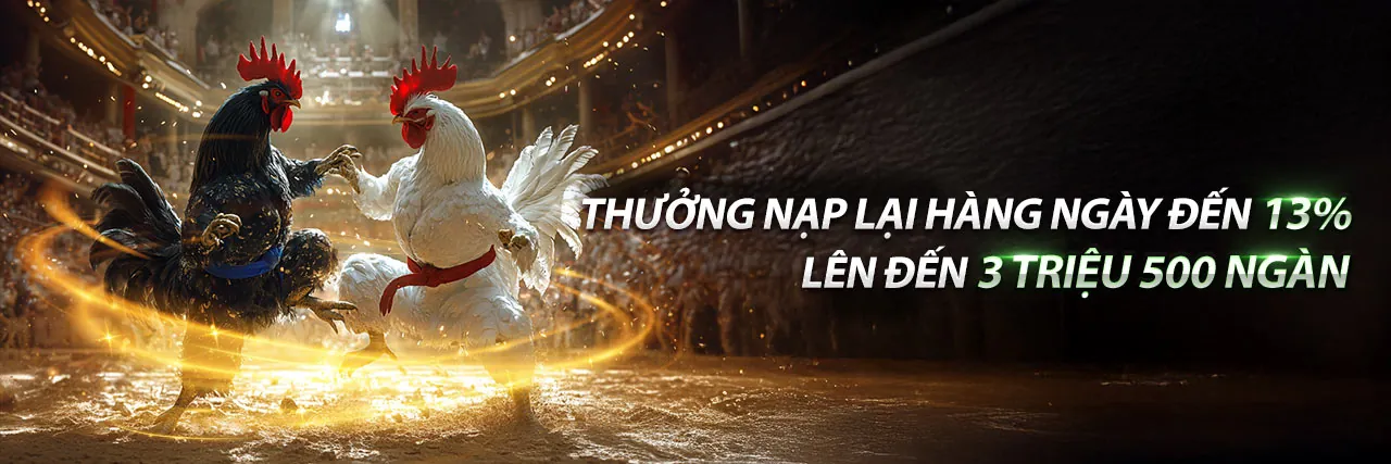Trận đấu đá gà gay cấn tại 88fc link mới